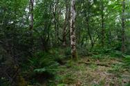 Image of property