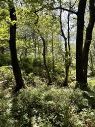 Image of property