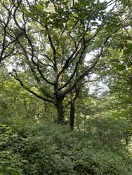 Image of property