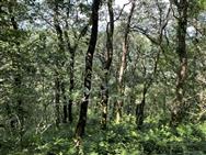 Image of property
