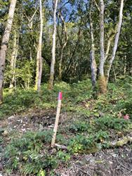 Image of property