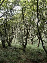 Image of property