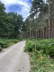 Image of property