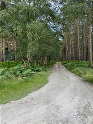 Image of property