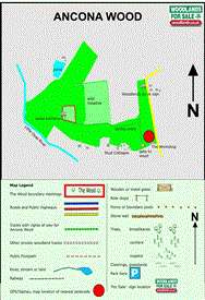 Image of property