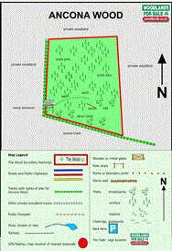 Image of property