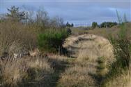 Image of property