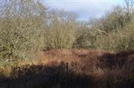 Image of property