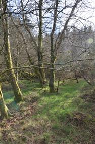 Image of property