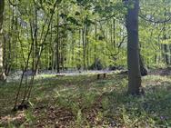 Image of property