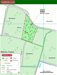 Image of property
