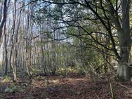 Image of property