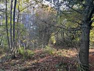 Image of property