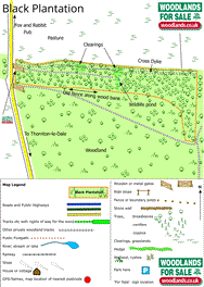 Image of property