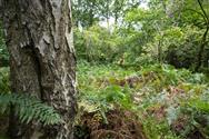 Image of property