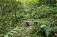 Image of property