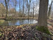 Image of property