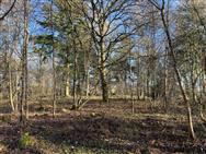 Image of property