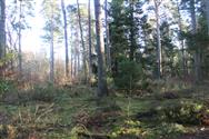 Image of property