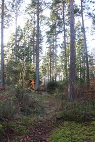 Image of property