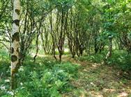 Image of property