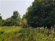 Image of property