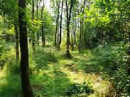 Image of property