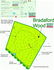 Image of property