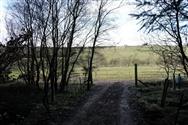 Image of property