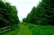 Image of property