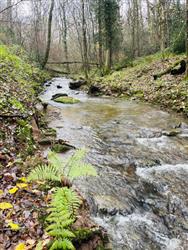 Click to view more details