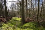 Image of property