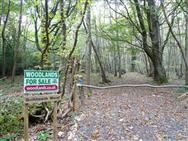 Click to view more details