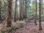 Image of property