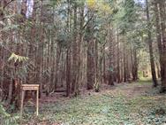 Image of property
