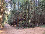 Image of property