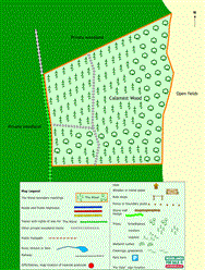 Image of property