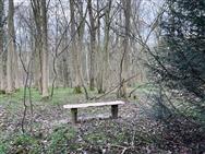 Image of property