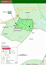Image of property