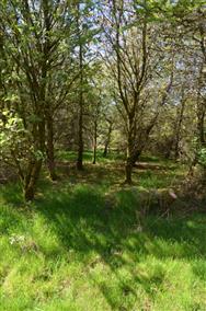 Image of property