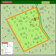 Image of property