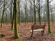 Click to view more details