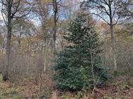 Click to view more details