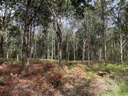 Click to view more details