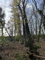 Image of property