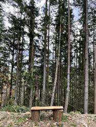Image of property