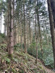 Image of property