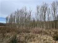 Image of property