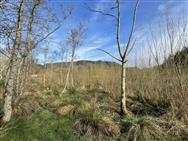 Image of property