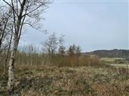 Image of property
